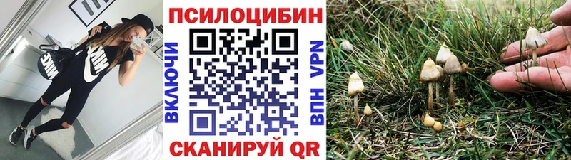 Псилоцибиновые грибы MAGIC MUSHROOMS  Купить где  Минусинск 